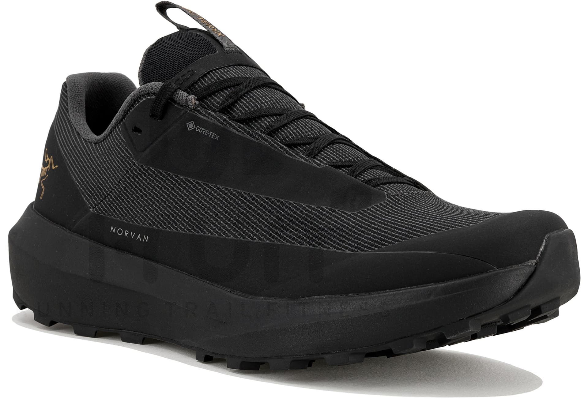 Arc'teryx Norvan LD 4 GTX — Noir