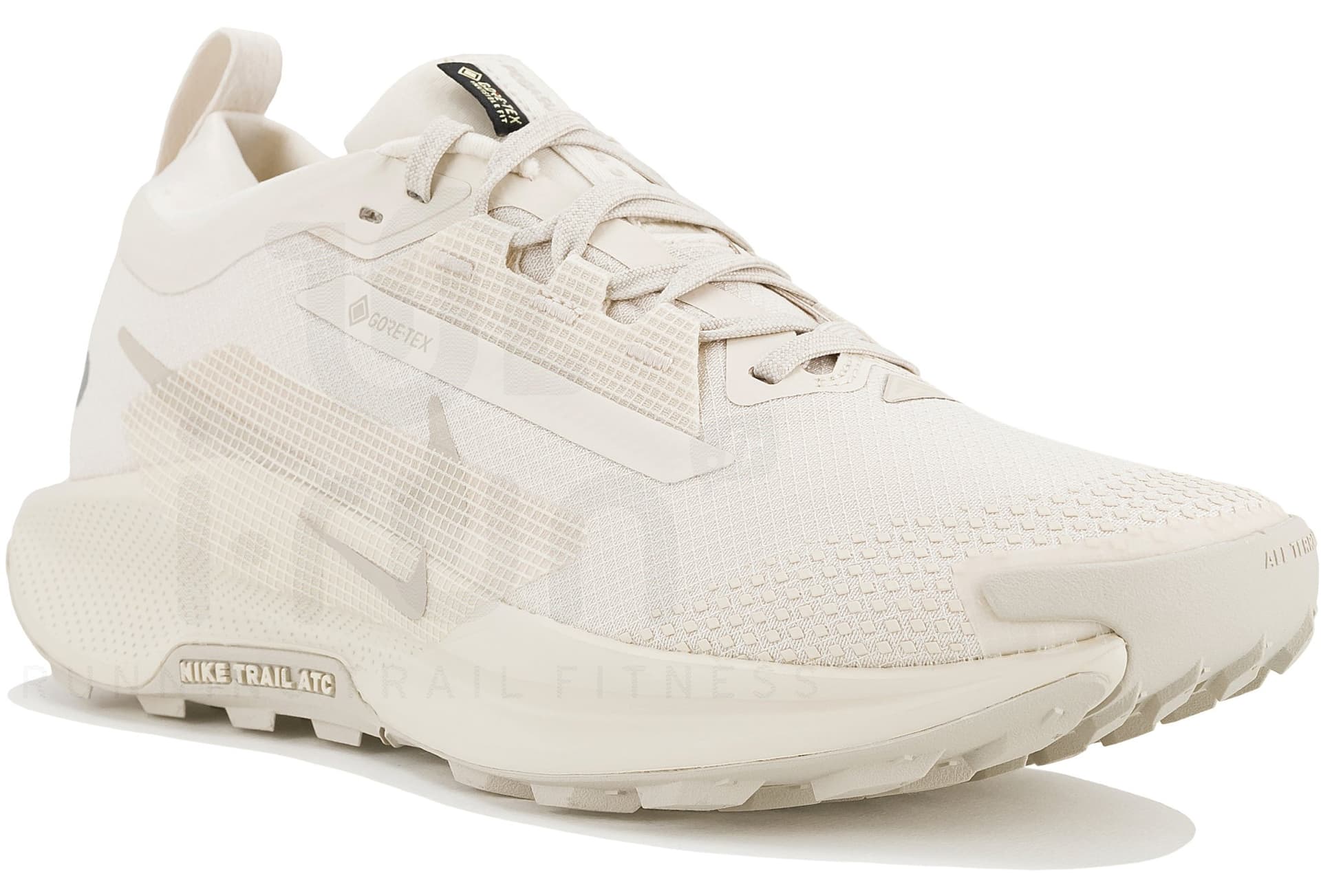 Nike Pegasus 5 GTX — Beige